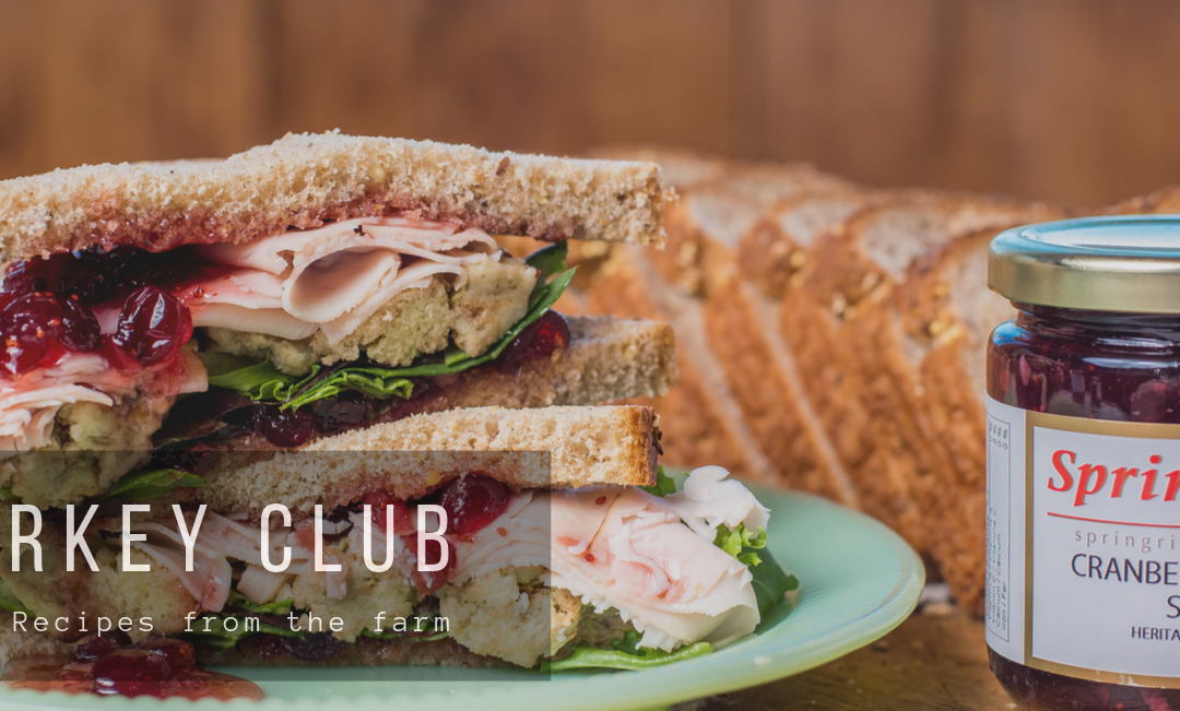 Roasted Turkey Club