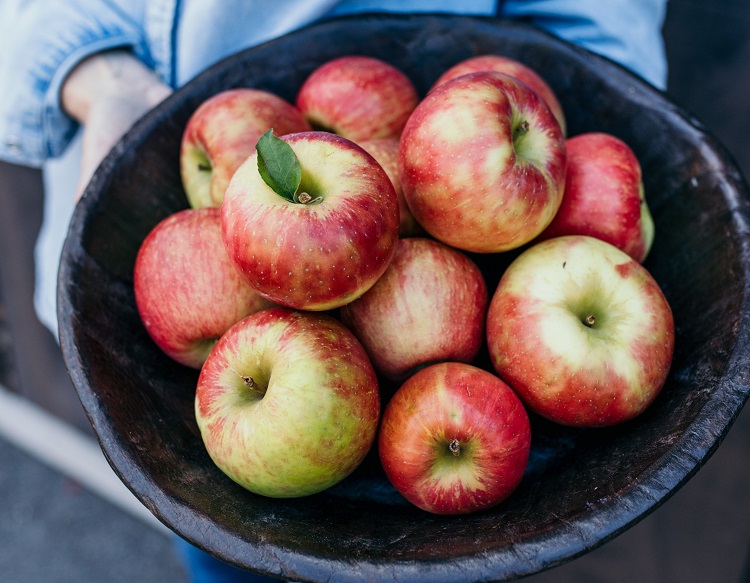 Honeycrisp Apples in bowl