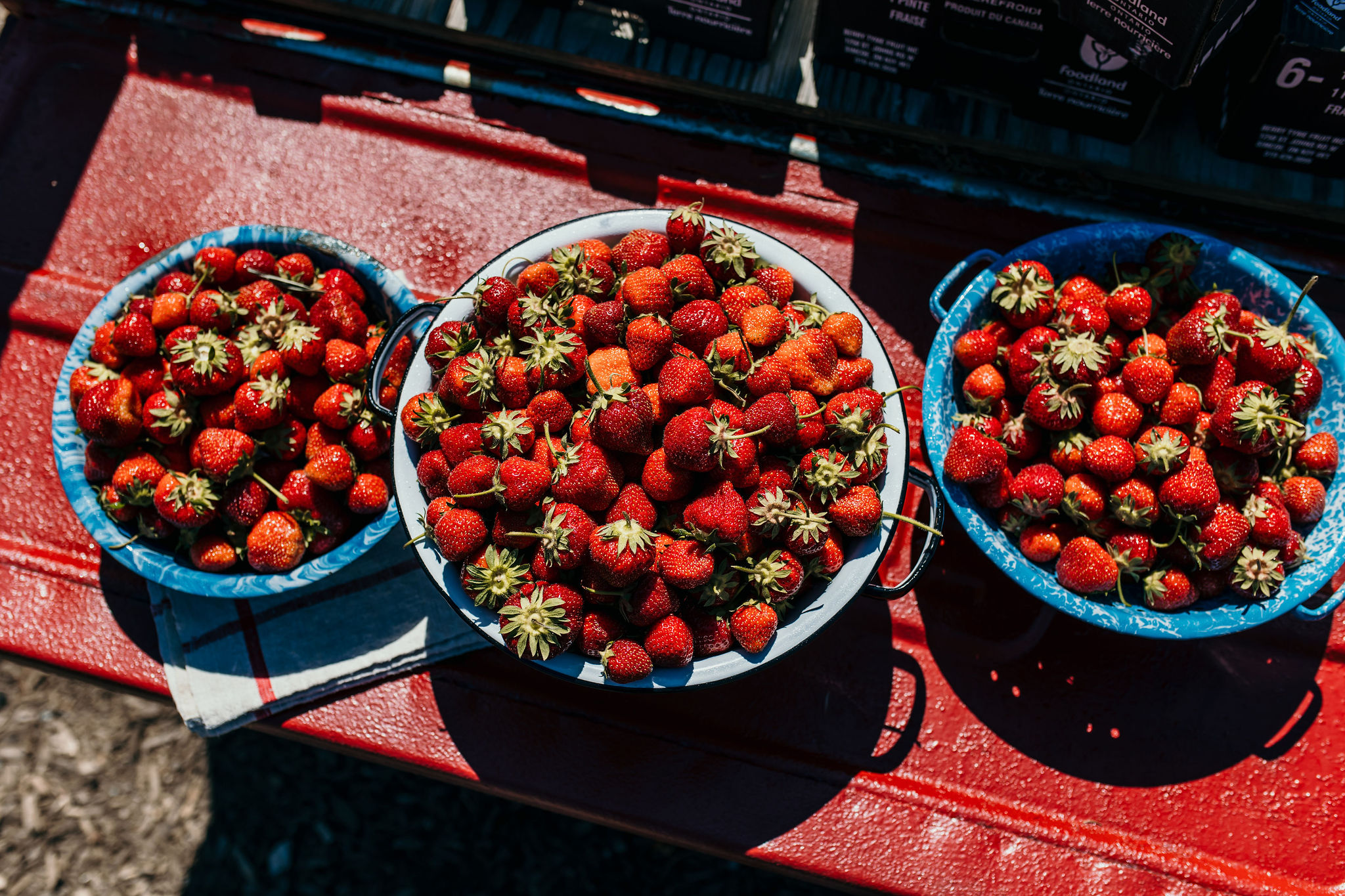 Springridge Strawberries in bowls