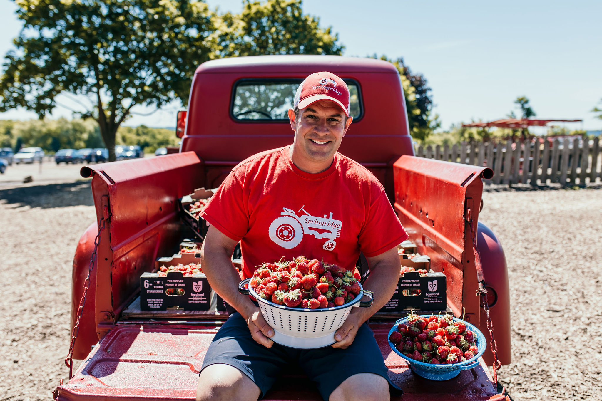 tom with berries on truck