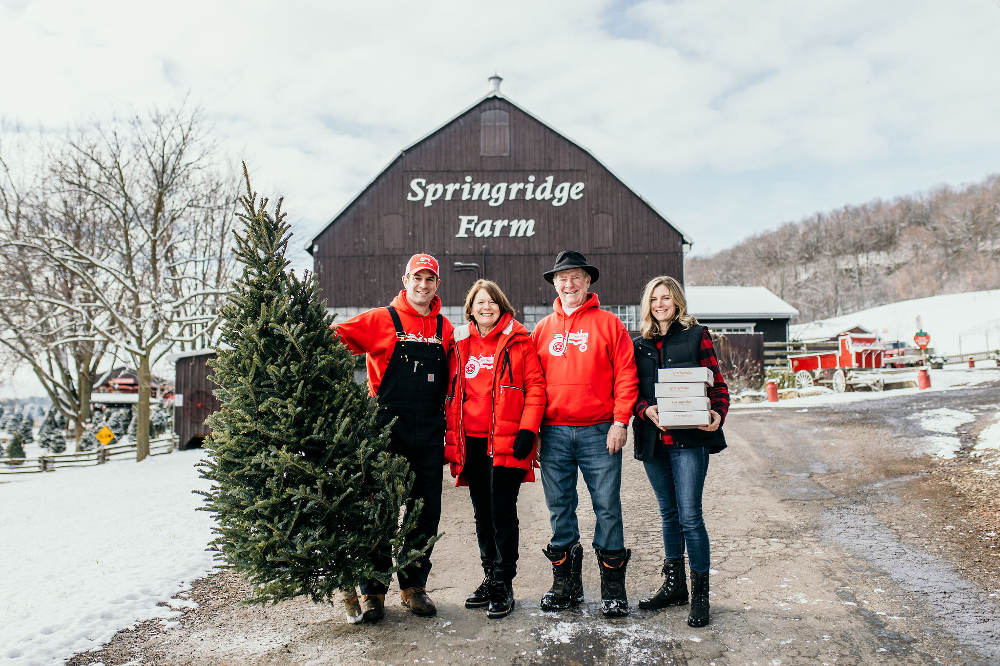 Christmas at Springridge (9)