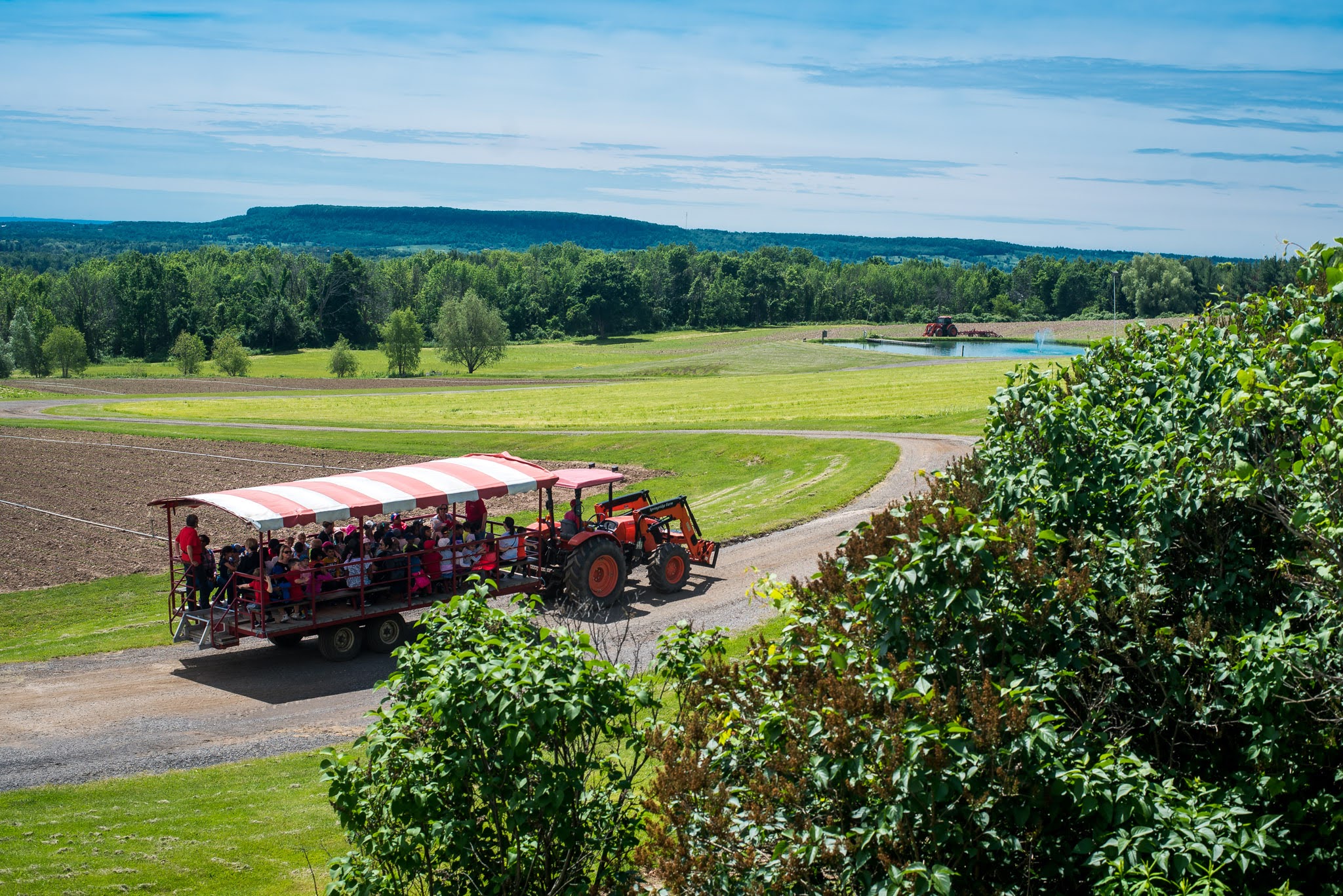 Fun Farmyard Wagon Ride