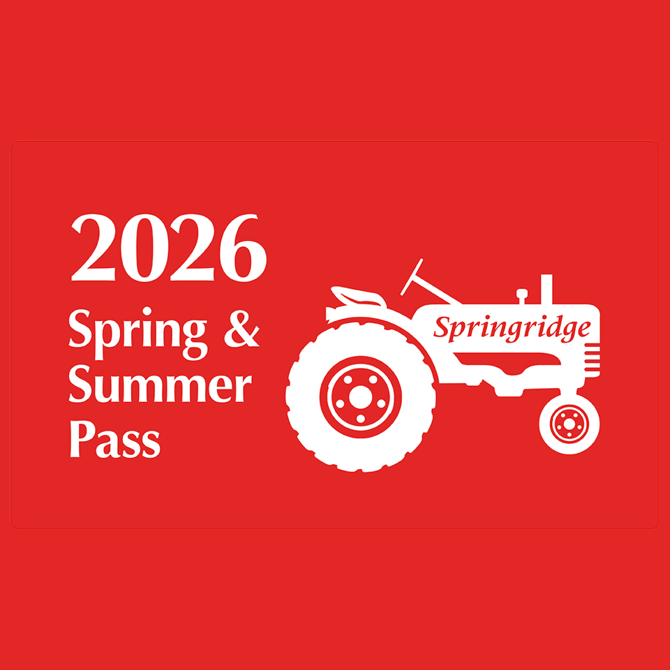 2026 Spring & Summer Pass - 4 person